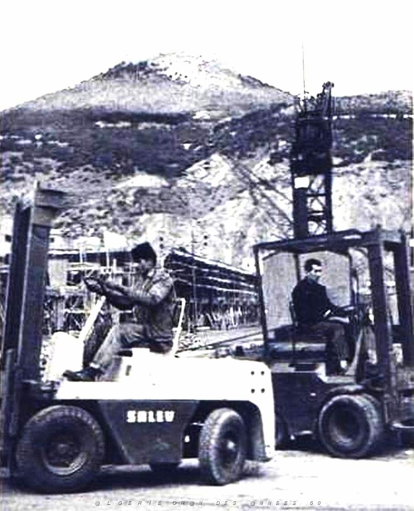 Oran- 095- travail sur les quais.jpg